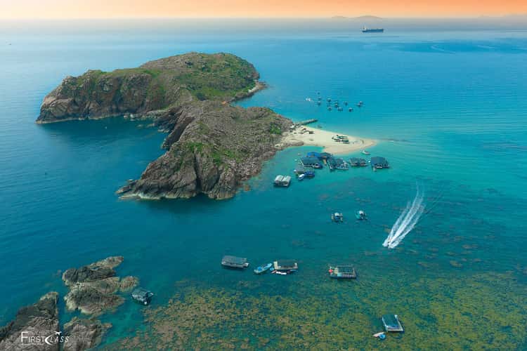 Hon Kho Island & Sargassum Seaweed Season