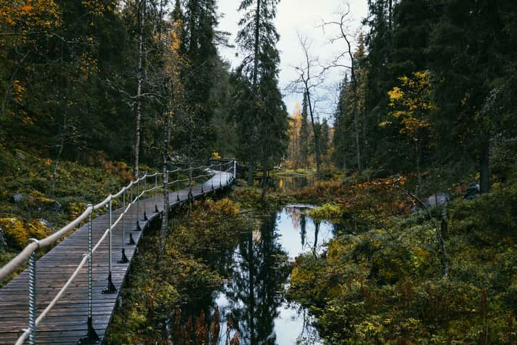 Isokurun gorge, Pyhä-Luosto-Nationalpark