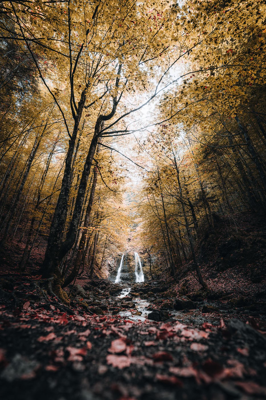 Josefsthaler Wasserfall, Germany