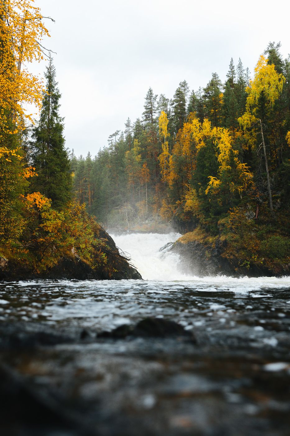 Jyrävä rapids, Oulanka Nationalpark, Finland