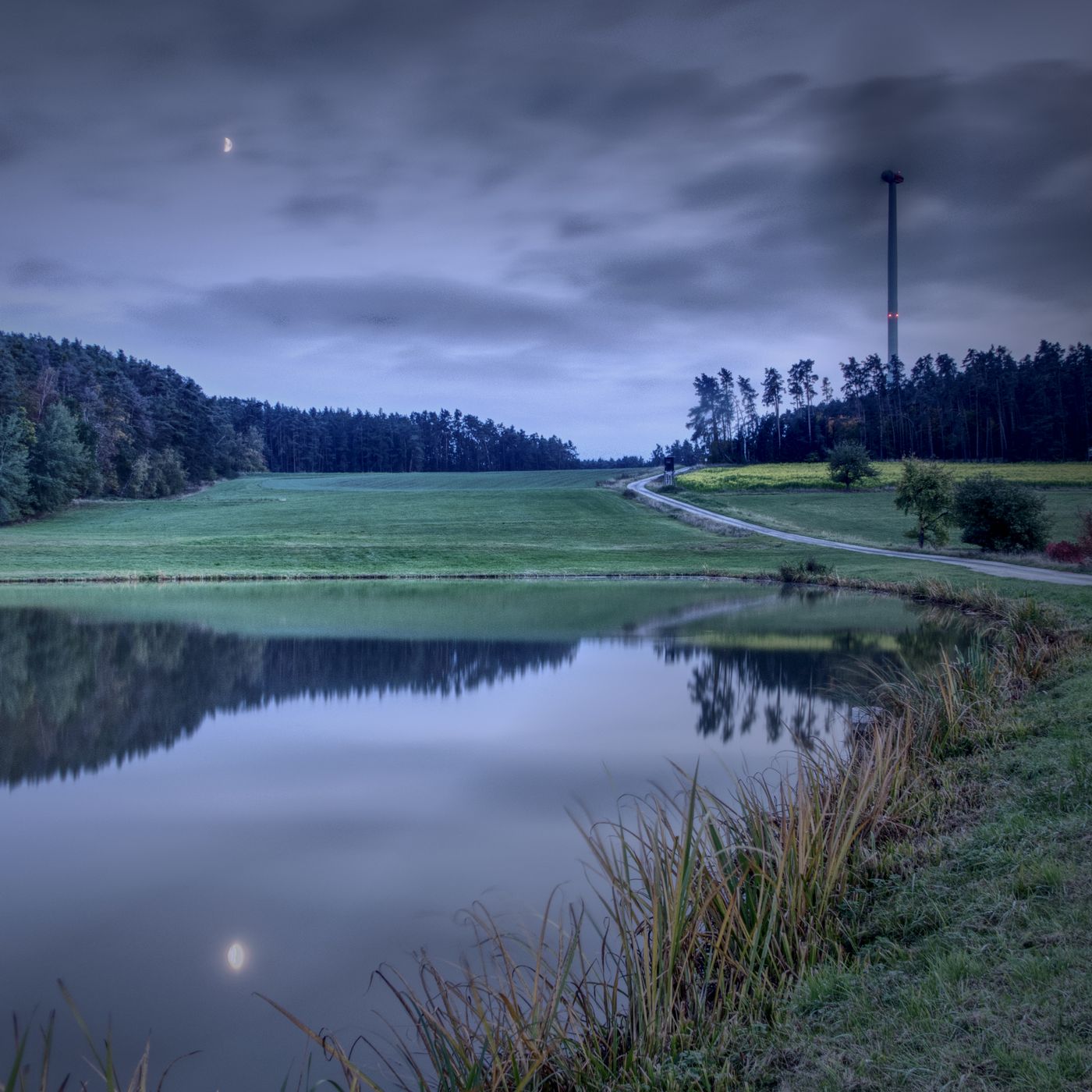 Karpfenteich im Aischgrund, Germany
