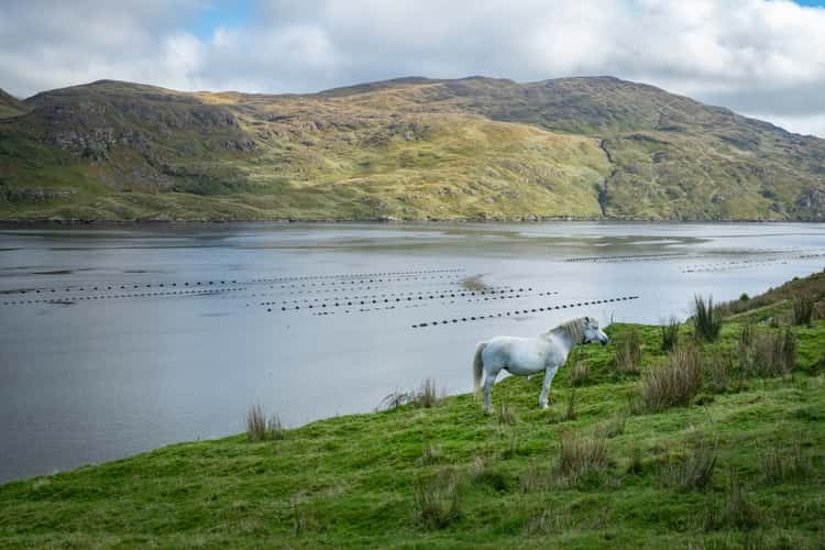 Killary Fjord