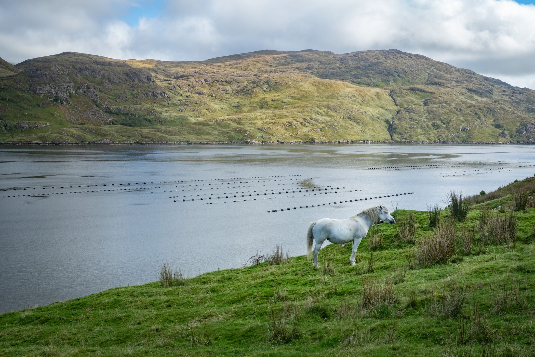 Killary Fjord, Ireland