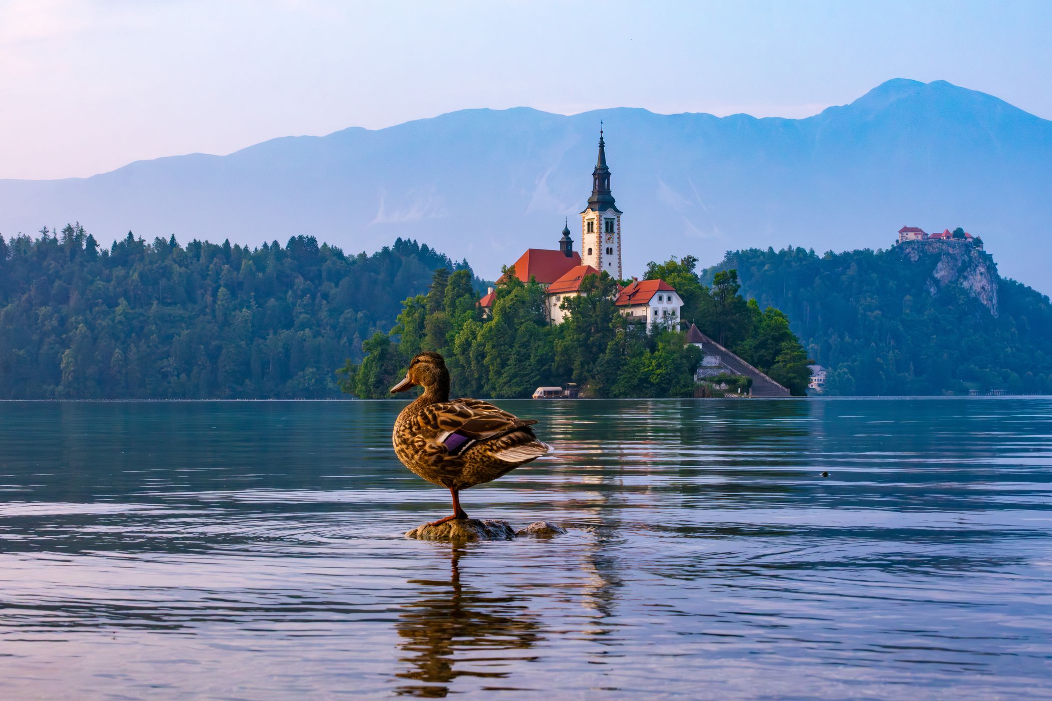 Lake Bled - Wooden Jetty - Rock covered with coins, Slovenia