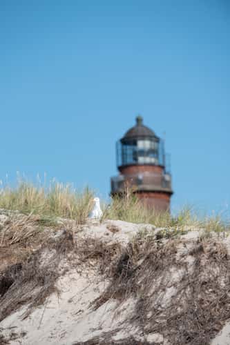 Lighthouse Darßer Ort