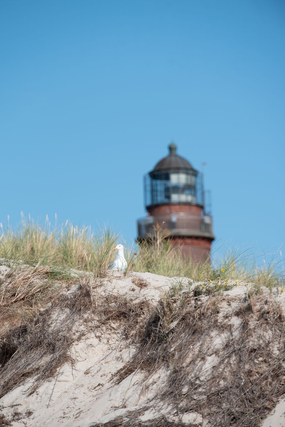 Lighthouse Darßer Ort, Germany
