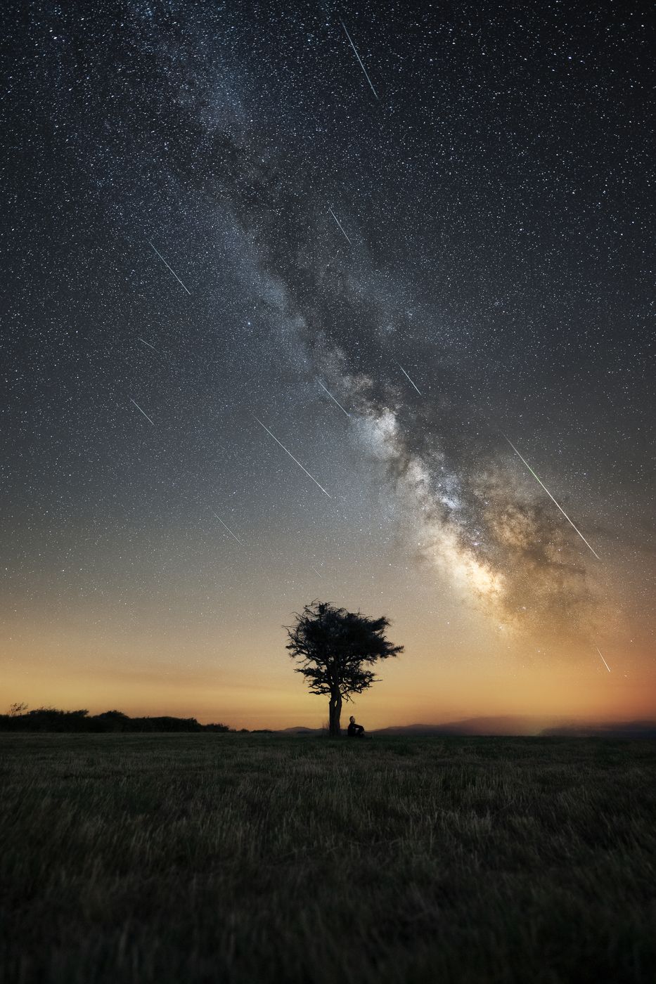Lonely tree, France