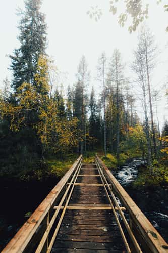 Lounatkoski, Hossa National Park