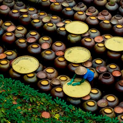 Minh Quat Ban Fermented Soy Sauce Craft Village, Vietnam
