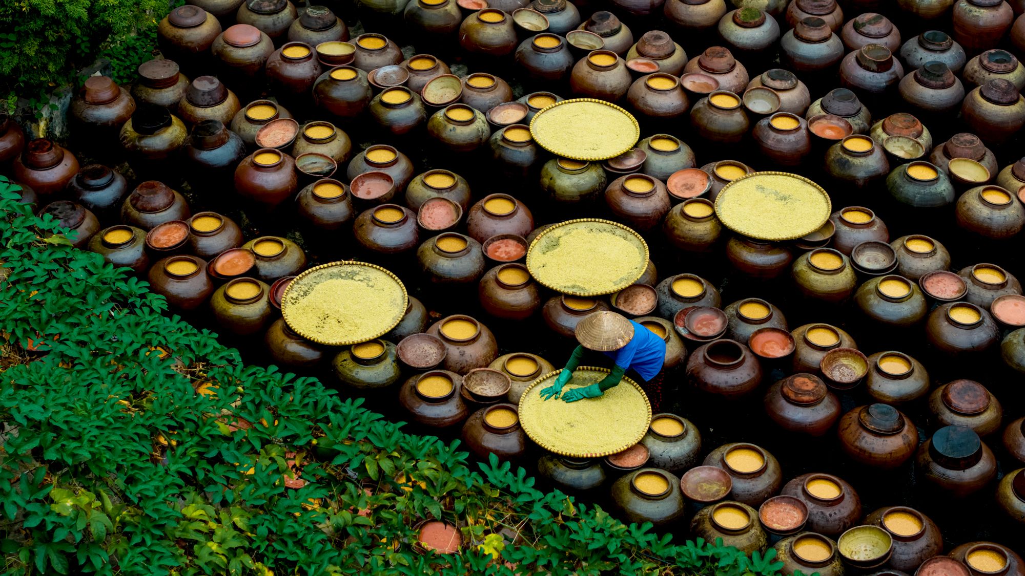Minh Quat Ban Fermented Soy Sauce Craft Village, Vietnam