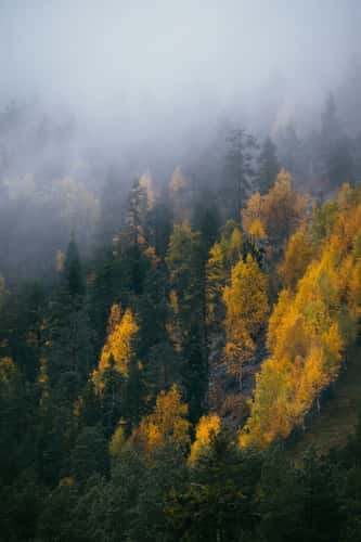 Moody autumn days with view up to Pyhätunturi