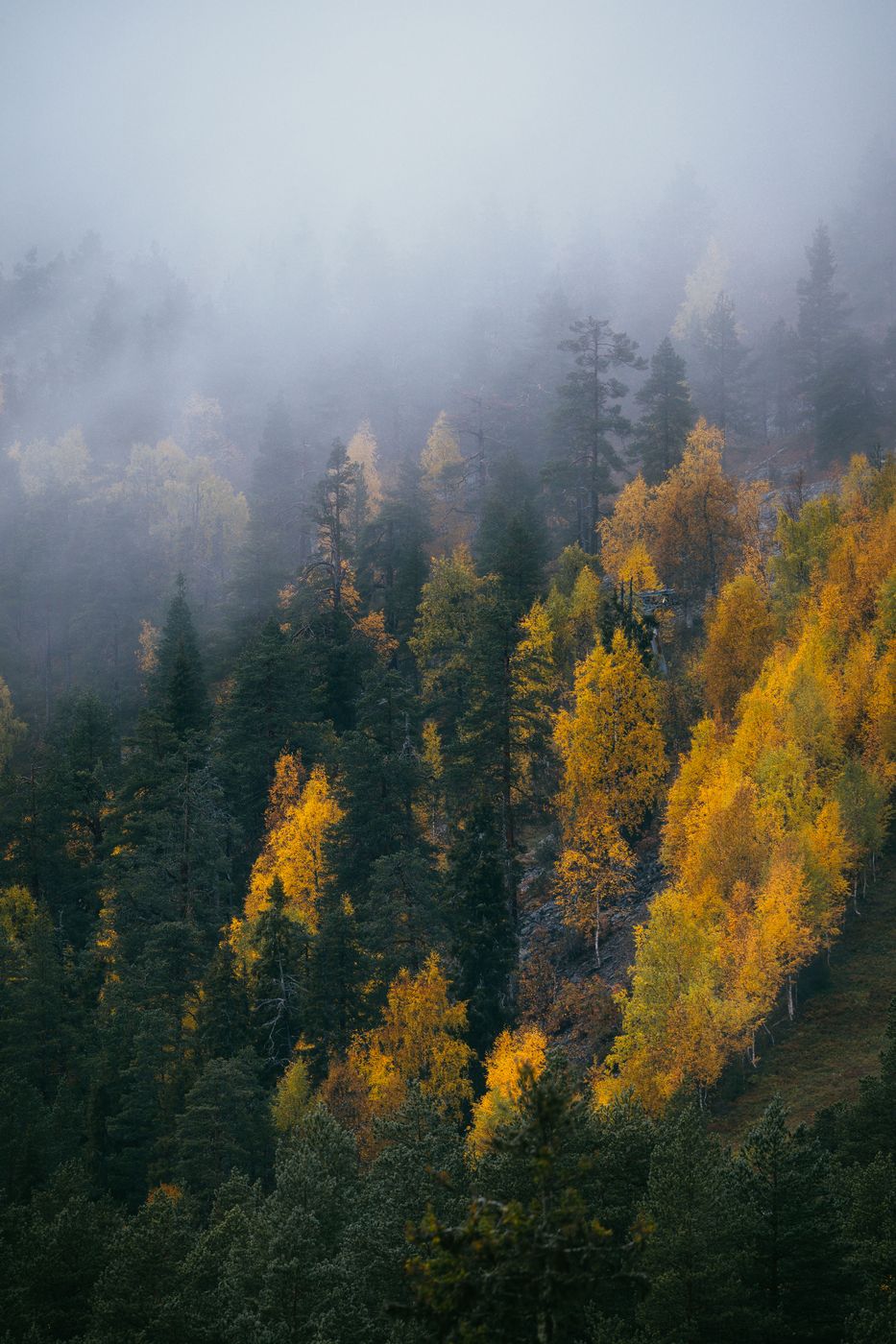 Moody autumn days with view up to Pyhätunturi, Finland
