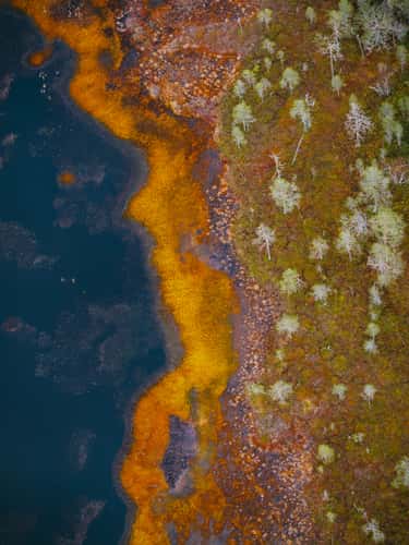 Moor in Pyhä-Luosto-Nationalpark, Lapland (autumn)