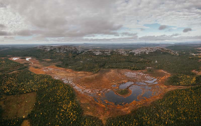 Moor in Pyhä-Luosto-Nationalpark, Lapland (autumn)