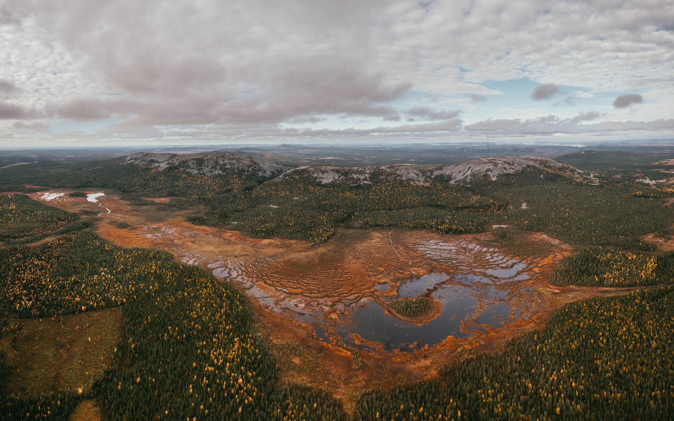 Moor in Pyhä-Luosto-Nationalpark, Lapland (autumn), Finland