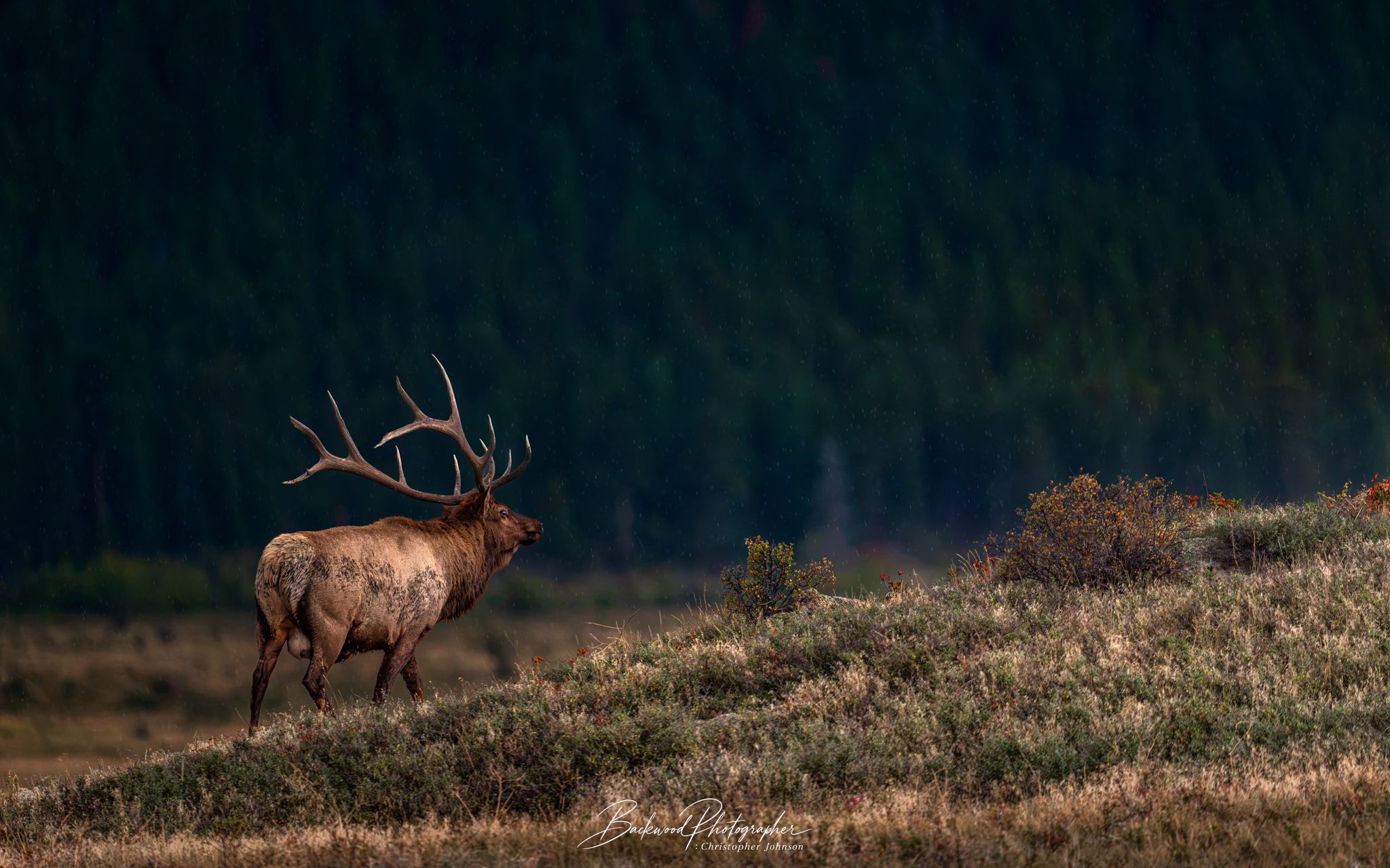 Moraine Park – Rocky Mountain National Park, USA