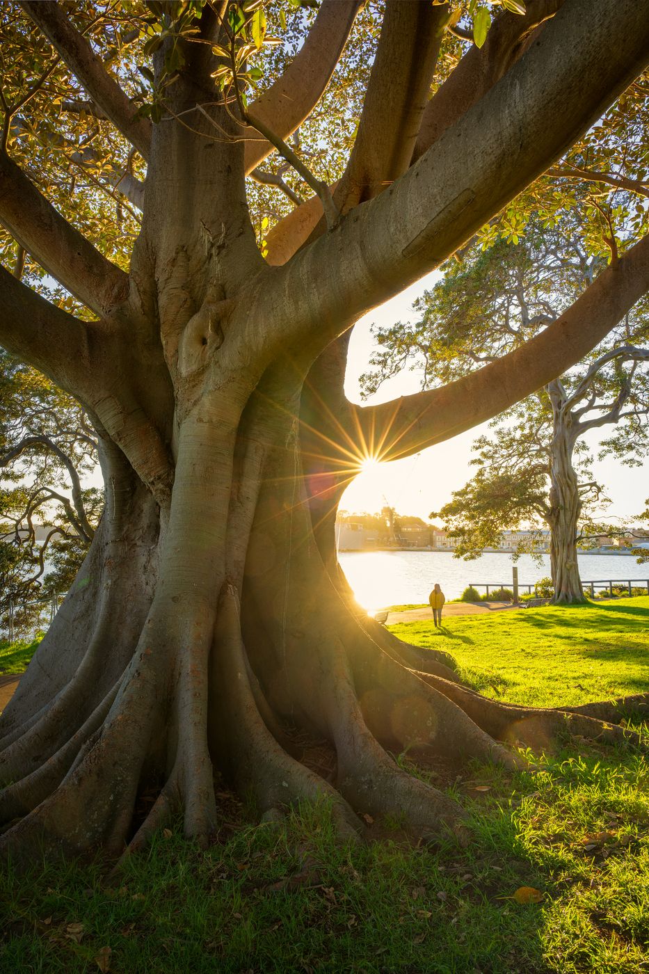 Mrs Macquarie's Chair, Australia