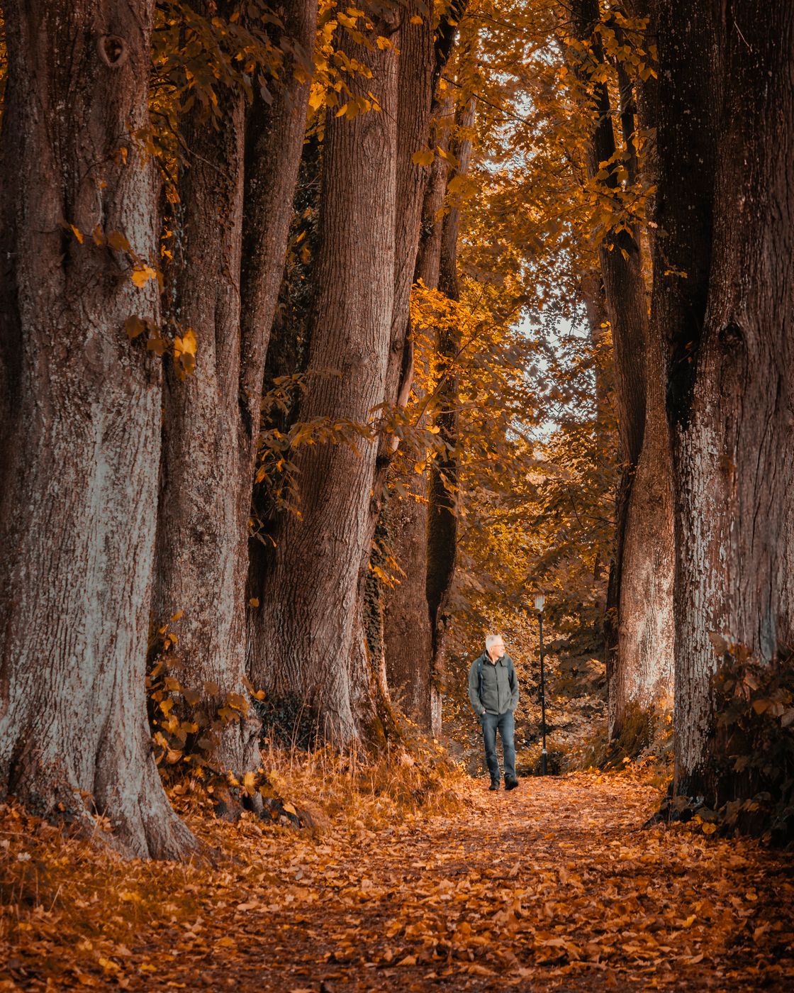 MURNAU - Kottmüllerallee, Germany