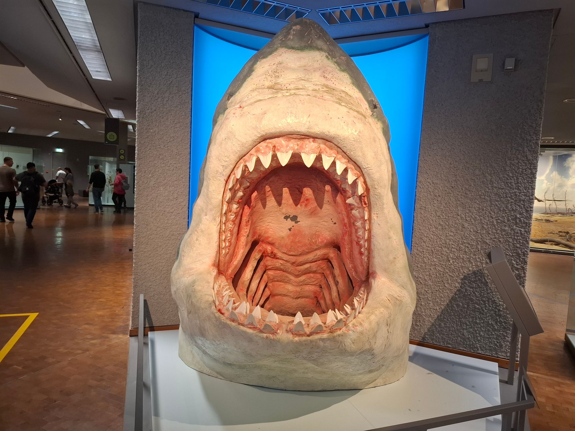 Naturkundemuseum Stuttgart, Museum am Löwentor, Germany