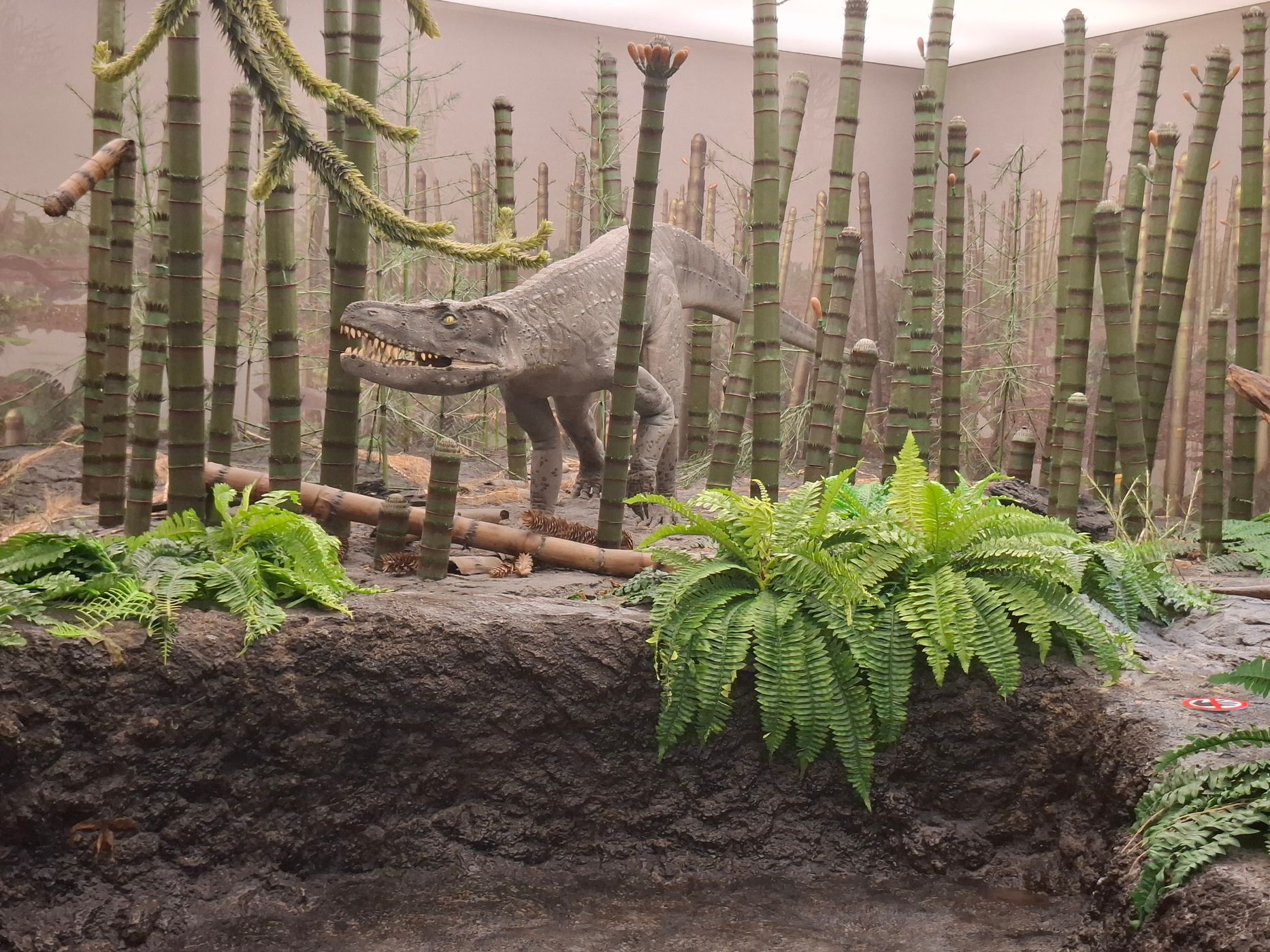 Naturkundemuseum Stuttgart, Museum am Löwentor, Germany