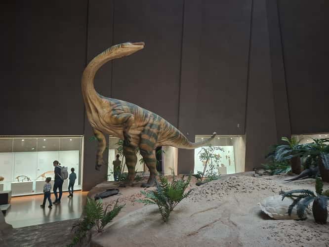 Naturkundemuseum Stuttgart, Museum am Löwentor