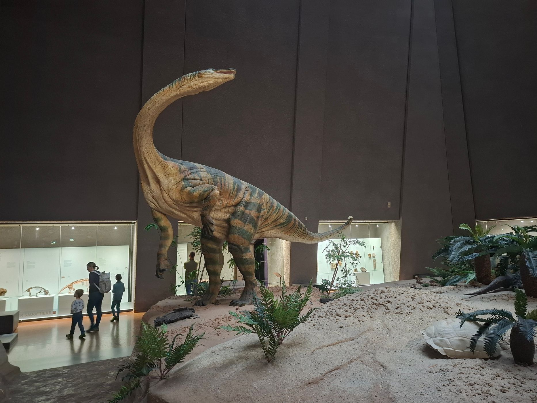 Naturkundemuseum Stuttgart, Museum am Löwentor, Germany