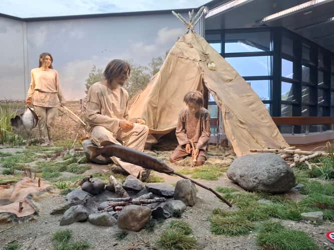 Naturkundemuseum Stuttgart, Museum am Löwentor