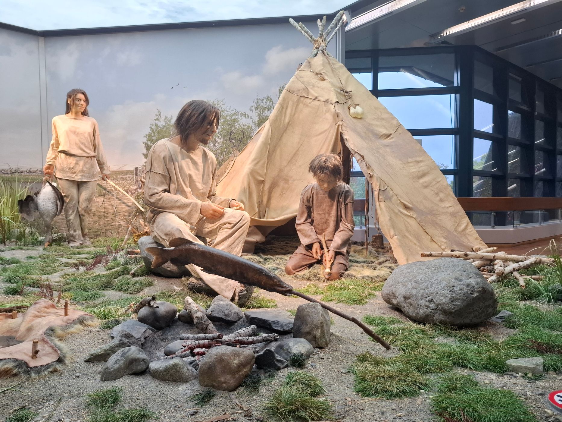 Naturkundemuseum Stuttgart, Museum am Löwentor, Germany