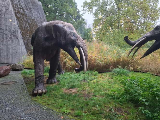Naturkundemuseum Stuttgart, Museum am Löwentor
