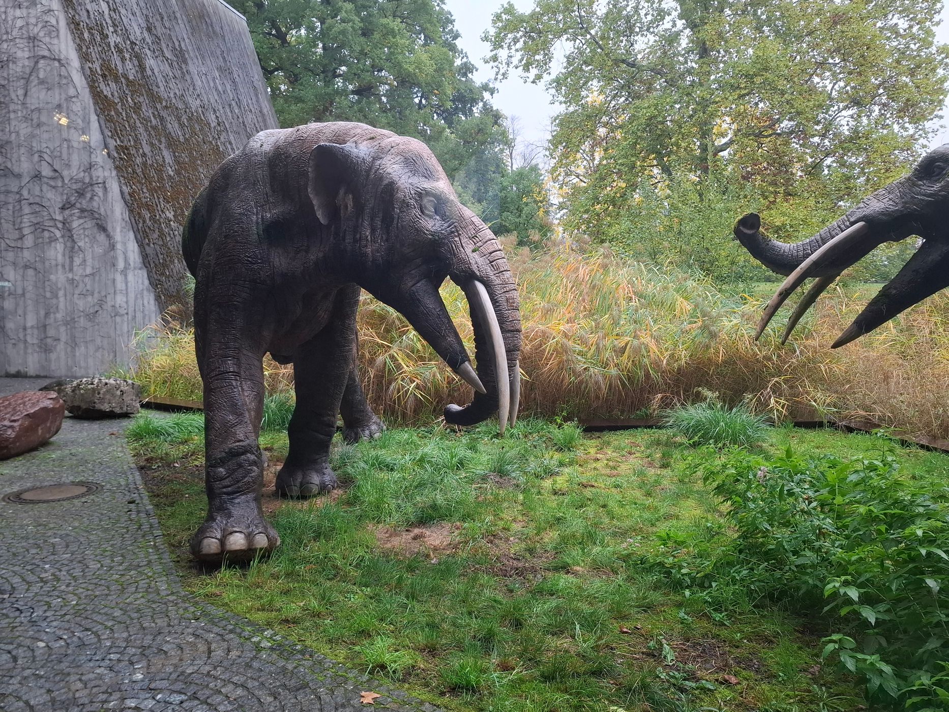 Naturkundemuseum Stuttgart, Museum am Löwentor, Germany