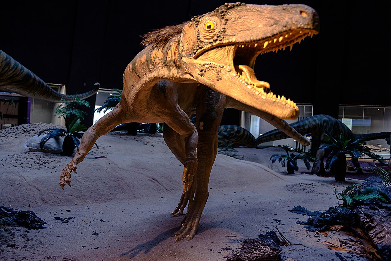 Naturkundemuseum Stuttgart, Museum am Löwentor, Germany