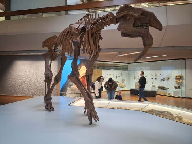 Naturkundemuseum Stuttgart, Museum am Löwentor