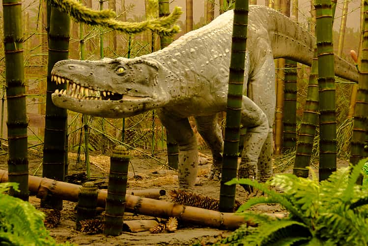 Naturkundemuseum Stuttgart, Museum am Löwentor