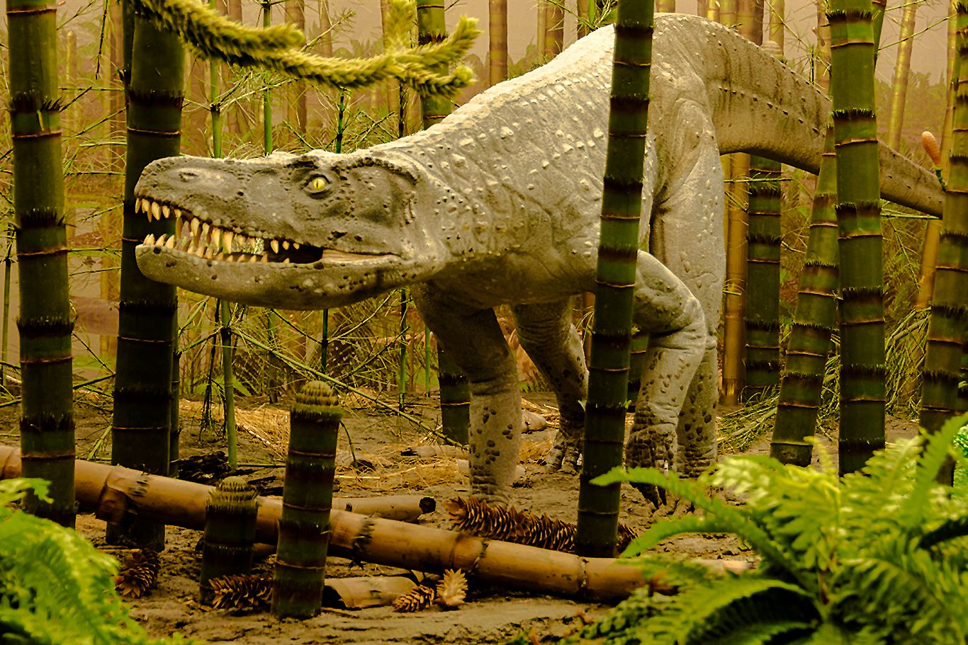 Naturkundemuseum Stuttgart, Museum am Löwentor, Germany