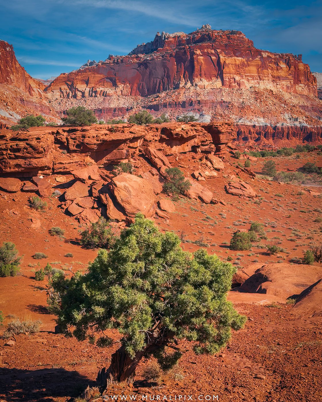 Panorama Point @ Capitol Reef National Park, USA