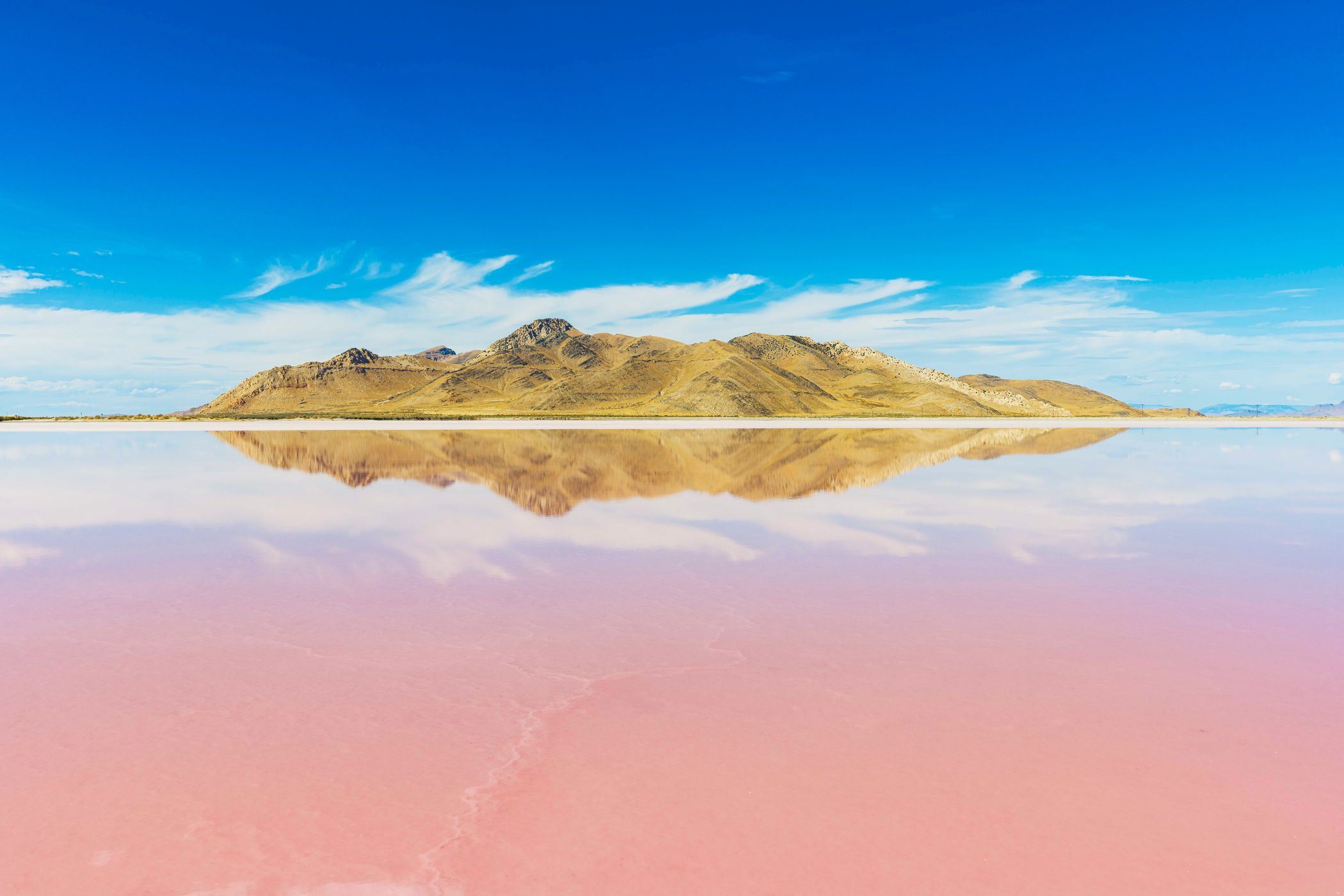 Pink Lake, USA