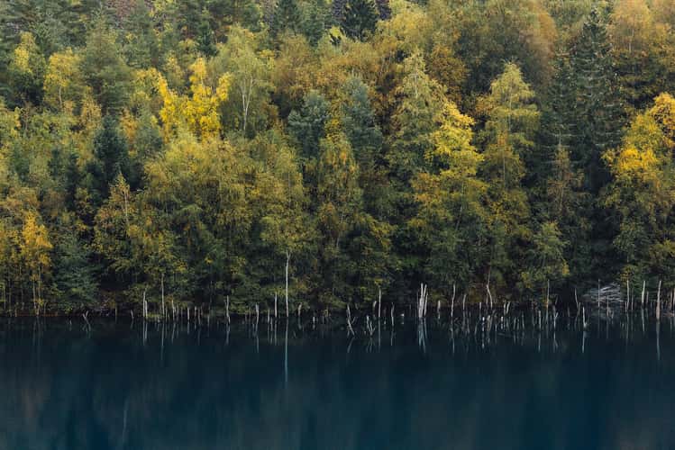 Quarry lake in Lehesten