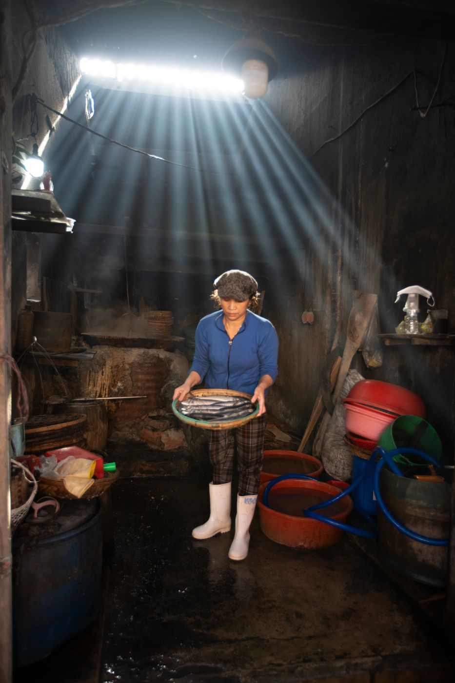 Quy Nhon Fish Market & Steam Fish Workshop, Vietnam