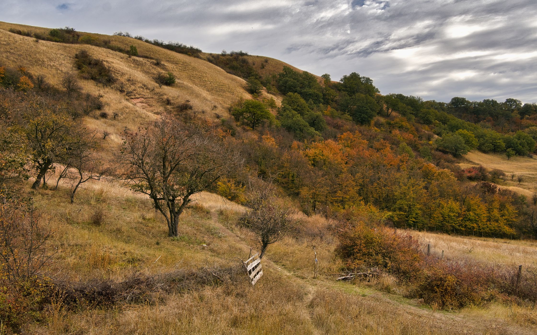Râpa Roşie (Red Gorge), Romania