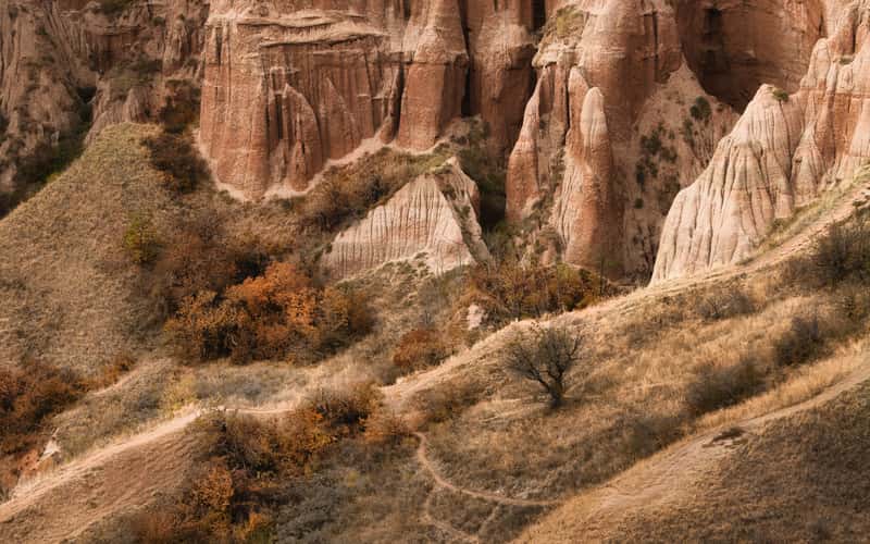 Râpa Roşie (Red Gorge)