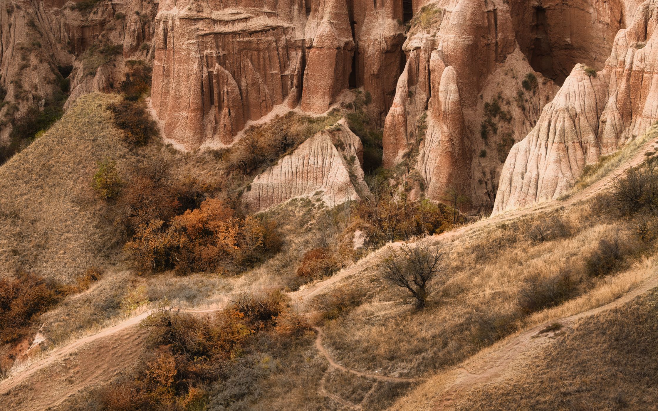 Râpa Roşie (Red Gorge), Romania