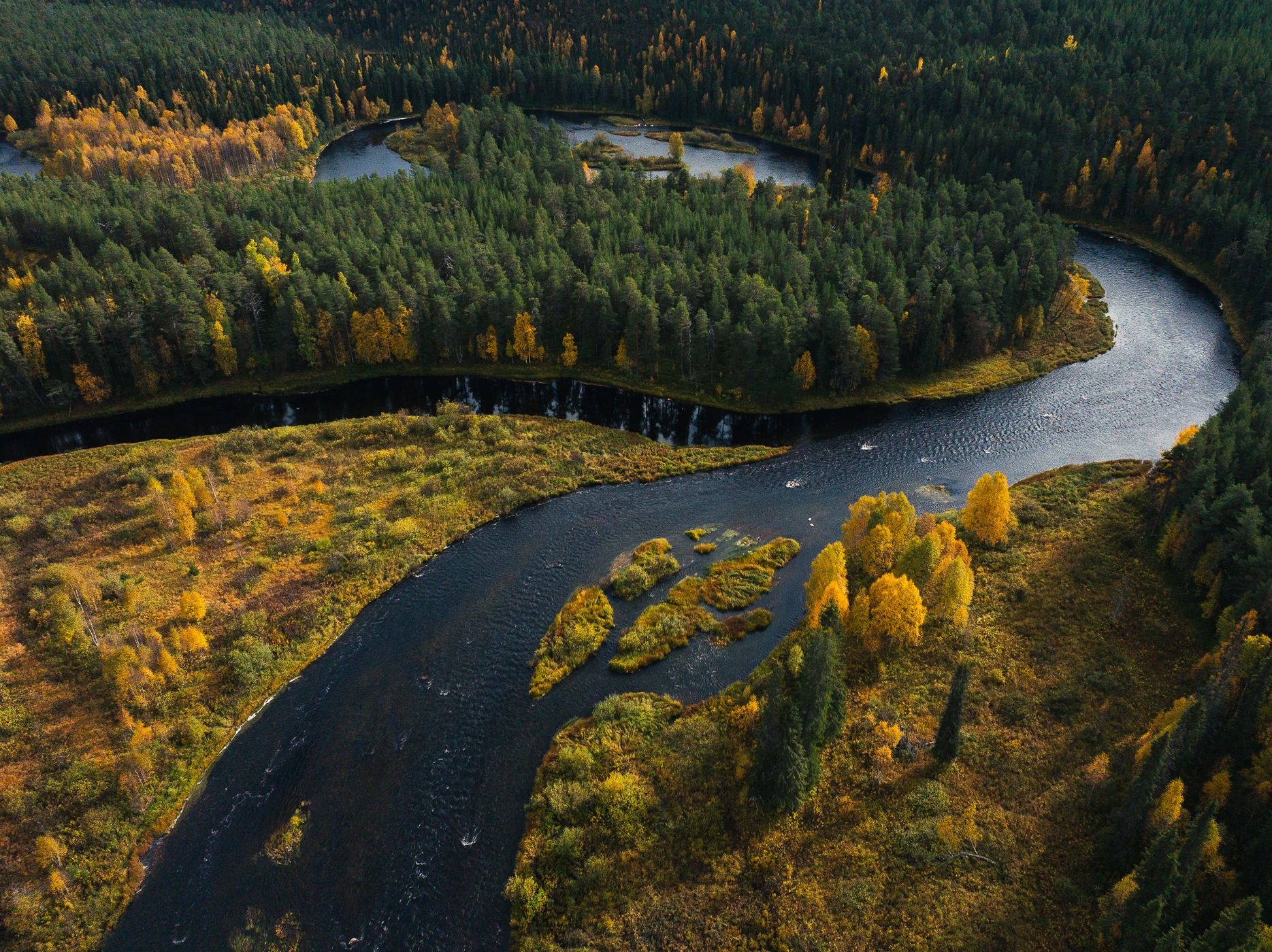 River bend near Kuusinkijoki, Finland, Finland