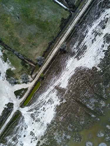 Salt marshes