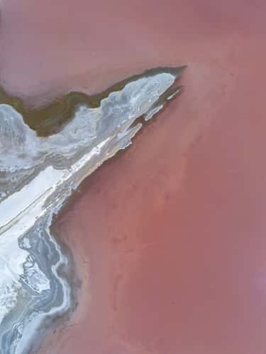 Salt marshes near Aigues-Mortes