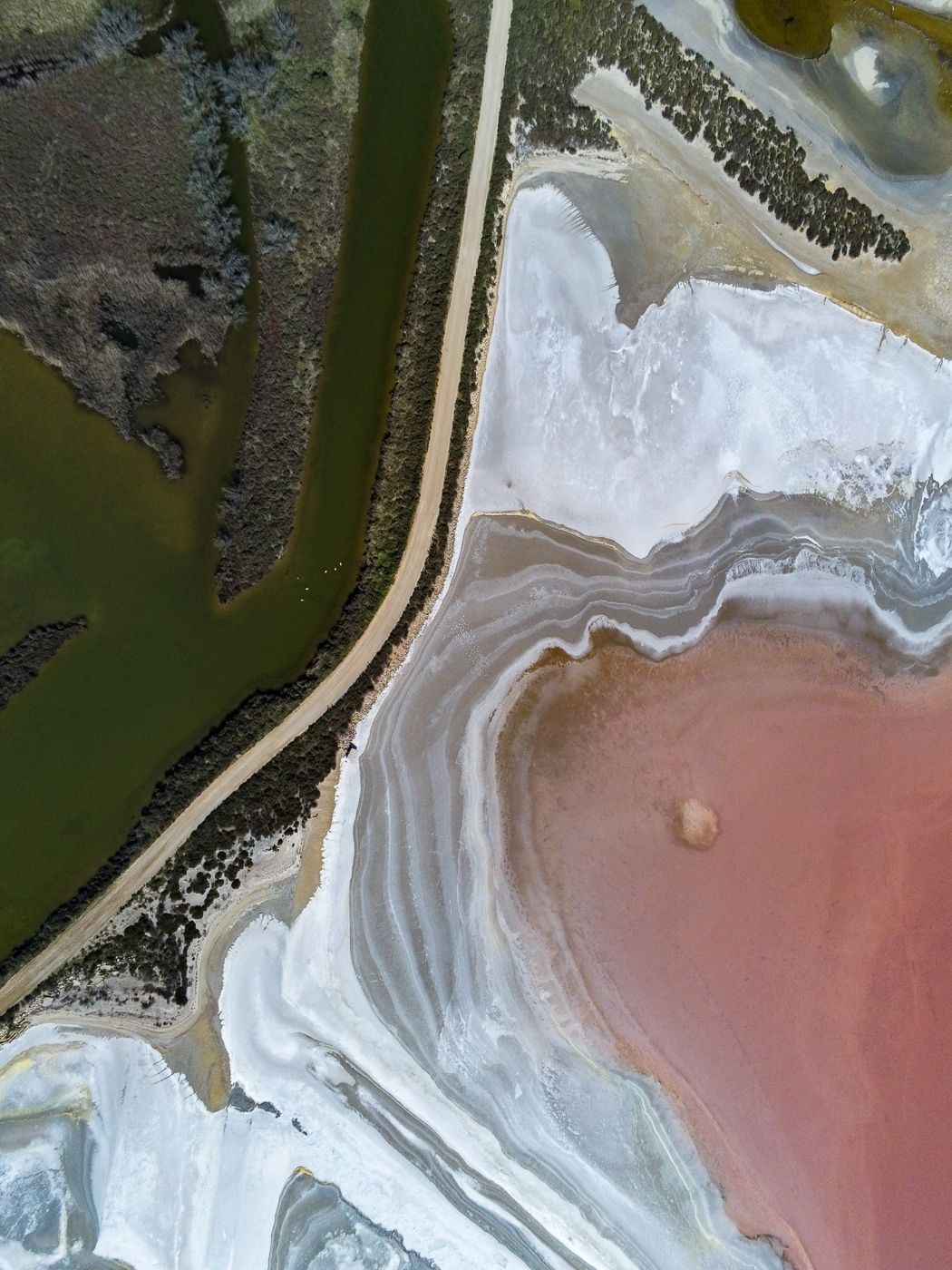 Salt marshes near Aigues-Mortes, France