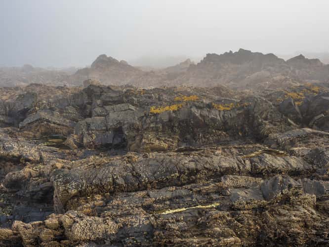 St. John's Point