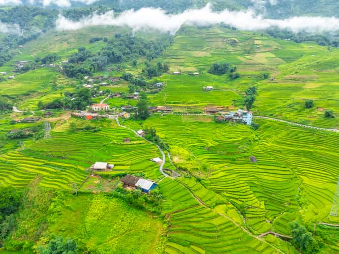 Ta Van Village & Muong Hoa Valley