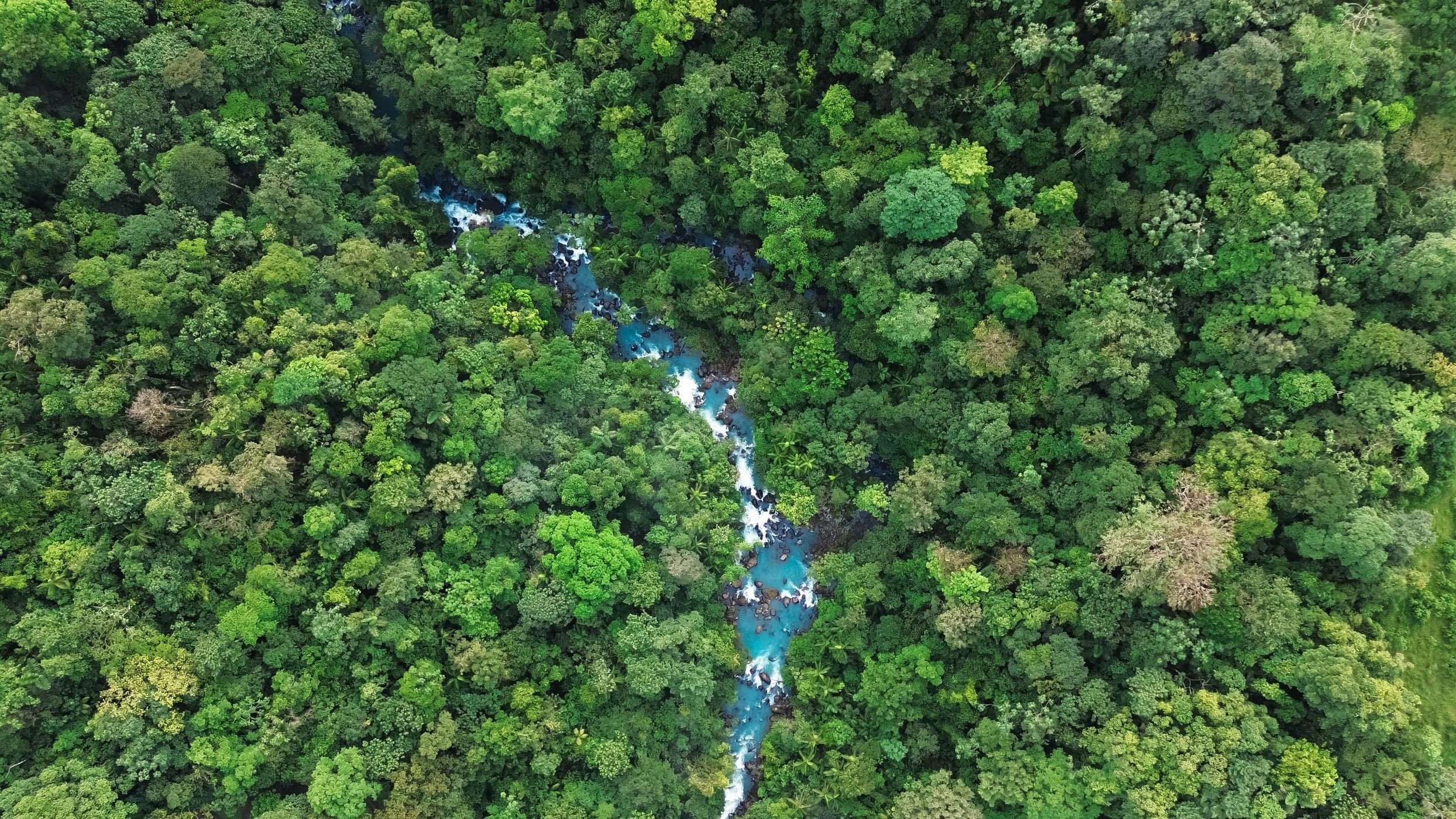 Tenorio Volcano National Park, Costa Rica