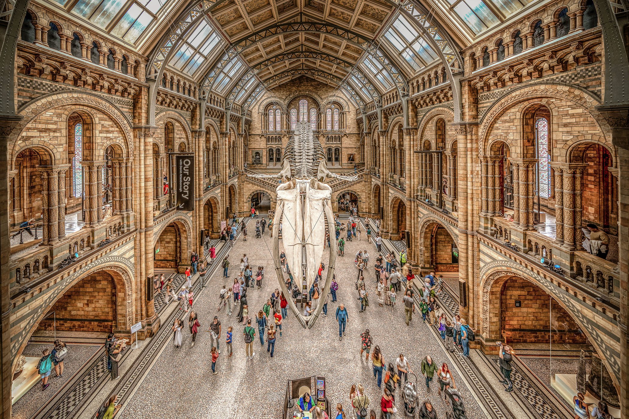 The Natural History Museum Lobby, London, United Kingdom
