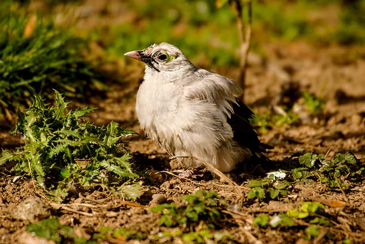 Tierfotografie im Zoologisch-Botanischen Garten